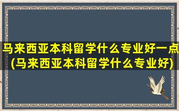 马来西亚本科留学什么专业好一点(马来西亚本科留学什么专业好)