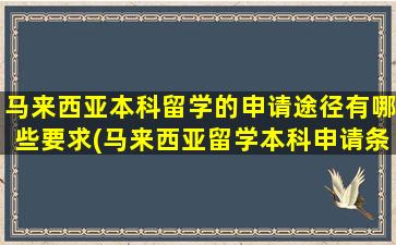 马来西亚本科留学的申请途径有哪些要求(马来西亚留学本科申请条件)