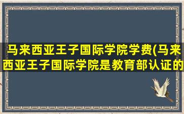 马来西亚王子国际学院学费(马来西亚王子国际学院是教育部认证的吗)