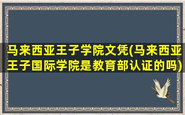 马来西亚王子学院文凭(马来西亚王子国际学院是教育部认证的吗)