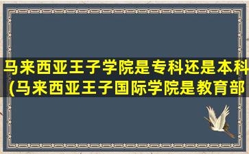 马来西亚王子学院是专科还是本科(马来西亚王子国际学院是教育部认证的吗)