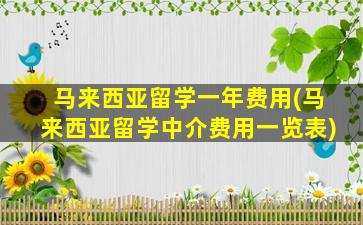 马来西亚留学一年费用(马来西亚留学中介费用一览表)