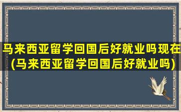 马来西亚留学回国后好就业吗现在(马来西亚留学回国后好就业吗)