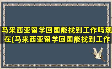 马来西亚留学回国能找到工作吗现在(马来西亚留学回国能找到工作吗)