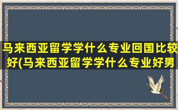 马来西亚留学学什么专业回国比较好(马来西亚留学学什么专业好男生)