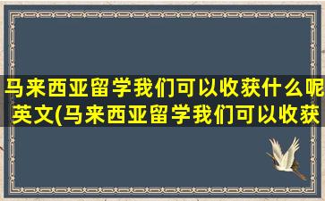 马来西亚留学我们可以收获什么呢英文(马来西亚留学我们可以收获什么呢知乎)