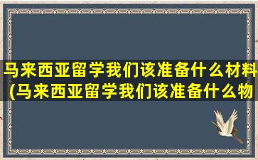 马来西亚留学我们该准备什么材料(马来西亚留学我们该准备什么物品)