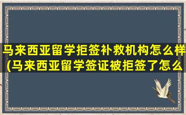 马来西亚留学拒签补救机构怎么样(马来西亚留学签证被拒签了怎么办-)