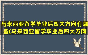 马来西亚留学毕业后四大方向有哪些(马来西亚留学毕业后四大方向选择)