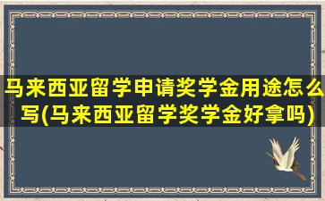 马来西亚留学申请奖学金用途怎么写(马来西亚留学奖学金好拿吗)