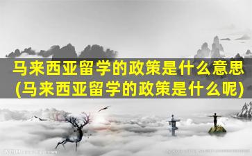 马来西亚留学的政策是什么意思(马来西亚留学的政策是什么呢)