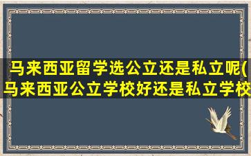 马来西亚留学选公立还是私立呢(马来西亚公立学校好还是私立学校好)