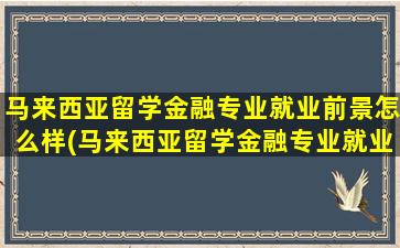 马来西亚留学金融专业就业前景怎么样(马来西亚留学金融专业就业前景分析)