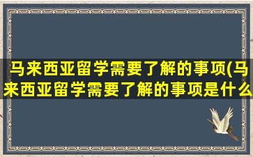 马来西亚留学需要了解的事项(马来西亚留学需要了解的事项是什么)