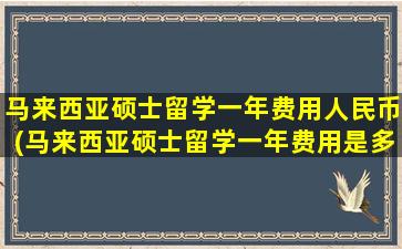 马来西亚硕士留学一年费用人民币(马来西亚硕士留学一年费用是多少钱)