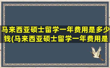 马来西亚硕士留学一年费用是多少钱(马来西亚硕士留学一年费用是多少钱艺术类)