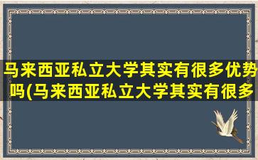 马来西亚私立大学其实有很多优势吗(马来西亚私立大学其实有很多优势专业)