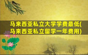 马来西亚私立大学学费最低(马来西亚私立留学一年费用)