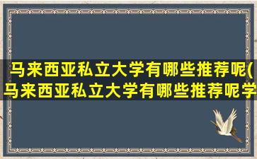 马来西亚私立大学有哪些推荐呢(马来西亚私立大学有哪些推荐呢学生)