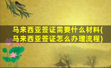 马来西亚签证需要什么材料(马来西亚签证怎么办理流程)