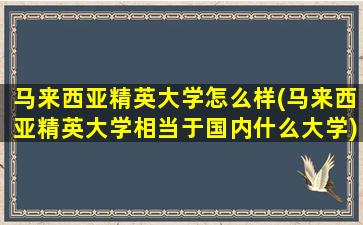 马来西亚精英大学怎么样(马来西亚精英大学相当于国内什么大学)