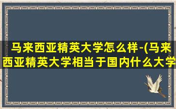 马来西亚精英大学怎么样-(马来西亚精英大学相当于国内什么大学)