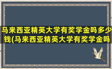 马来西亚精英大学有奖学金吗多少钱(马来西亚精英大学有奖学金吗)