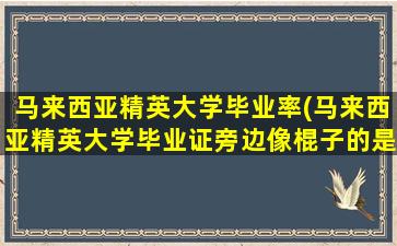 马来西亚精英大学毕业率(马来西亚精英大学毕业证旁边像棍子的是什么含义)