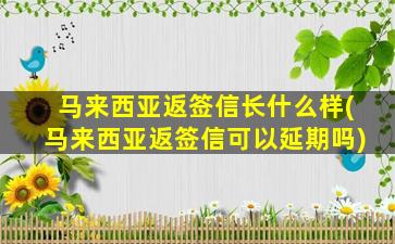 马来西亚返签信长什么样(马来西亚返签信可以延期吗)