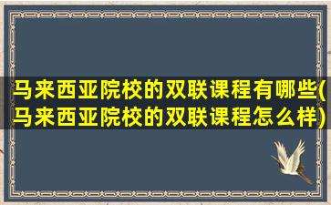 马来西亚院校的双联课程有哪些(马来西亚院校的双联课程怎么样)