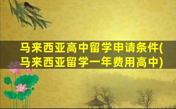 马来西亚高中留学申请条件(马来西亚留学一年费用高中)