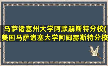 马萨诸塞州大学阿默赫斯特分校(美国马萨诸塞大学阿姆赫斯特分校)