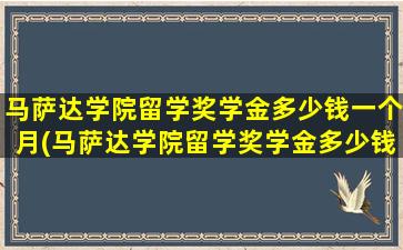 马萨达学院留学奖学金多少钱一个月(马萨达学院留学奖学金多少钱啊)