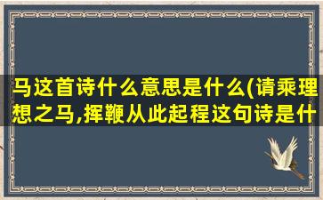 马这首诗什么意思是什么(请乘理想之马,挥鞭从此起程这句诗是什么意思)