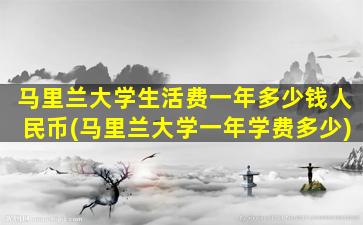 马里兰大学生活费一年多少钱人民币(马里兰大学一年学费多少)