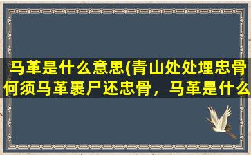 马革是什么意思(青山处处埋忠骨何须马革裹尸还忠骨，马革是什么意思)