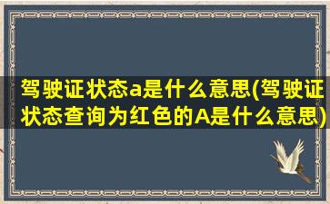 驾驶证状态a是什么意思(驾驶证状态查询为红色的A是什么意思)