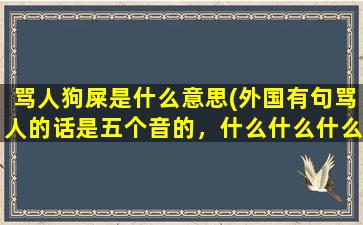 骂人狗屎是什么意思(外国有句骂人的话是五个音的，什么什么什么bobo)