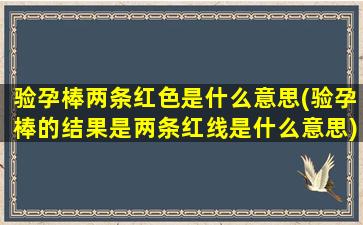 验孕棒两条红色是什么意思(验孕棒的结果是两条红线是什么意思)