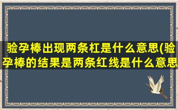 验孕棒出现两条杠是什么意思(验孕棒的结果是两条红线是什么意思)