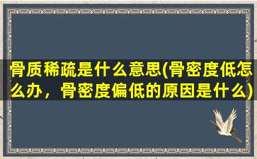 骨质稀疏是什么意思(骨密度低怎么办，骨密度偏低的原因是什么)