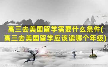 高三去美国留学需要什么条件(高三去美国留学应该读哪个年级)