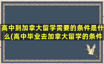 高中到加拿大留学需要的条件是什么(高中毕业去加拿大留学的条件)