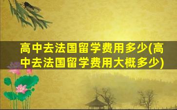 高中去法国留学费用多少(高中去法国留学费用大概多少)