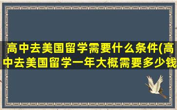 高中去美国留学需要什么条件(高中去美国留学一年大概需要多少钱)