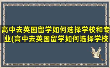 高中去英国留学如何选择学校和专业(高中去英国留学如何选择学校好)