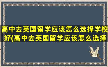 高中去英国留学应该怎么选择学校好(高中去英国留学应该怎么选择学校和专业)