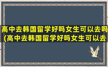 高中去韩国留学好吗女生可以去吗(高中去韩国留学好吗女生可以去吗)