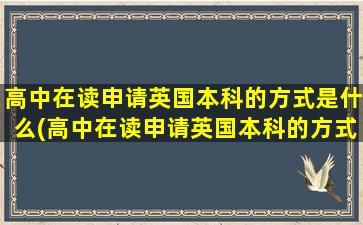 高中在读申请英国本科的方式是什么(高中在读申请英国本科的方式有几种)