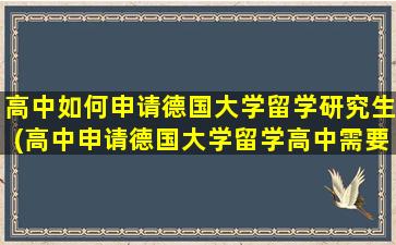 高中如何申请德国大学留学研究生(高中申请德国大学留学高中需要什么时候准备)